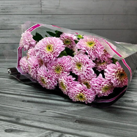 Пачка (5 шт.) Хризантема кустовая Летс Гоу Пинк 70 см Арт. Fc00917c