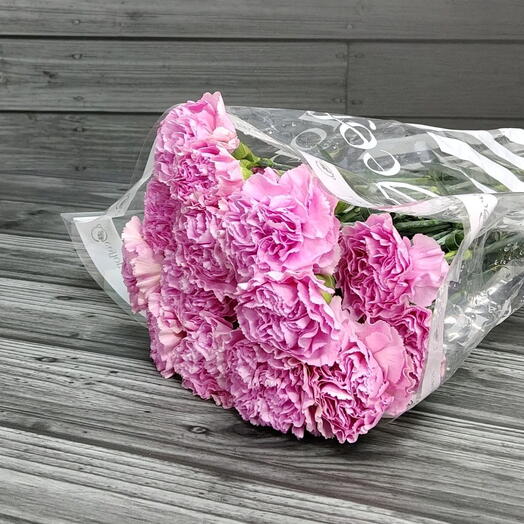 Пачка (25 шт.) Гвоздика одноголовая Клеар Вотер 70 см Арт. Fc03137c