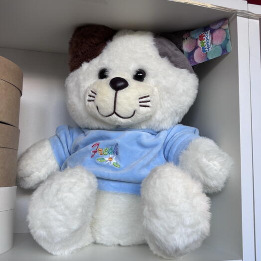 Мягкая игрушка 🧸