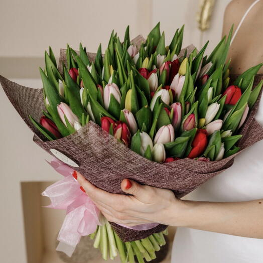 101 тюльпан микс