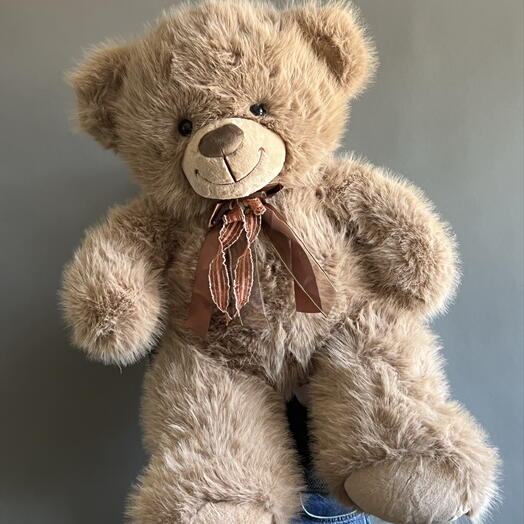 Игрушка мягкая Медведь Сёма🐻