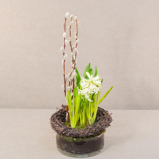 Композиция с гиацинтом и вербой. Пасха