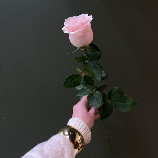 Розовая Роза Pink Mondial