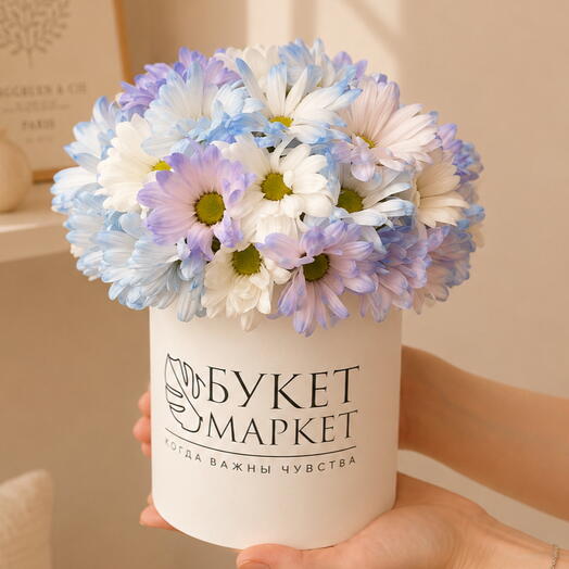Композиция из ромашковых хризантем в шляпной коробке 🌼 Нежный мини букет