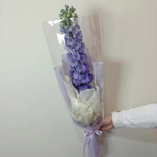 Дельфиниум в упаковке
