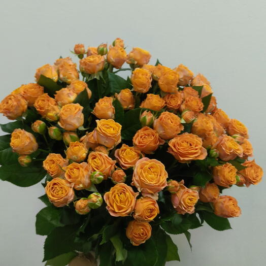 Букет из 15 кустовых роз