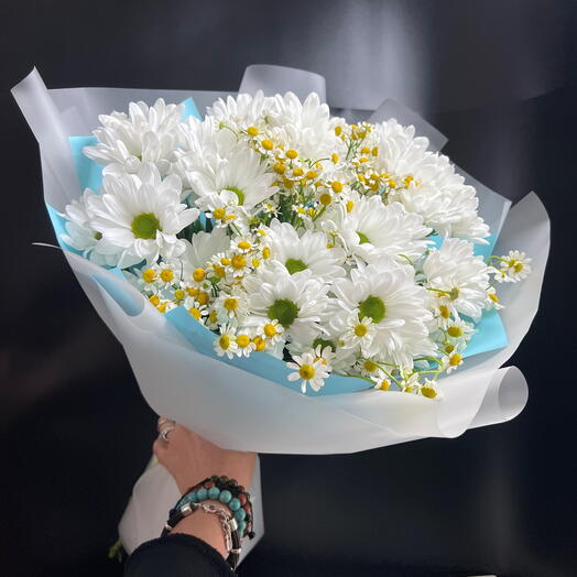 Ромашка с ромашковой хризантемой