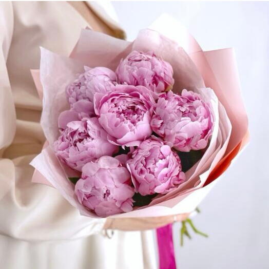 Пионы Сара бернар 7 🌺