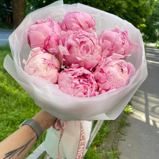 Пионы розовые Sara Bernar 7шт