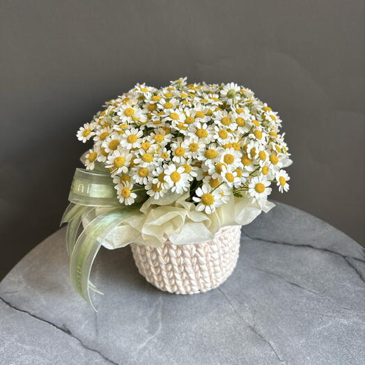 Корзинка с ромашками мини