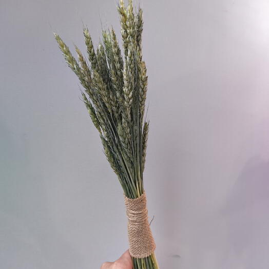 Интерьерный букет пшеницы 🌾