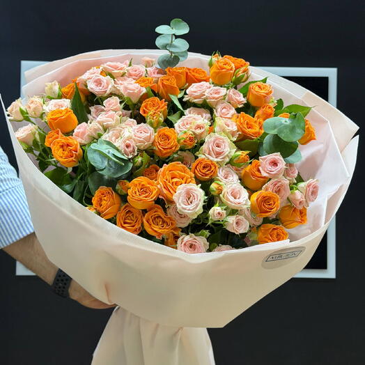 Maison Apricot 🧡