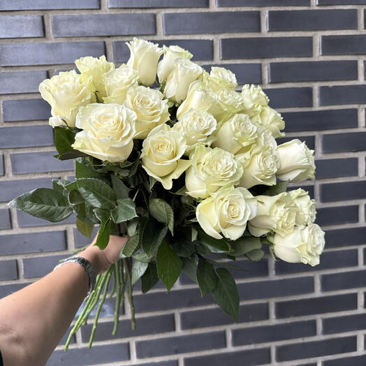 Белые розы 25 штук (60 см)