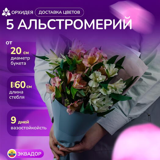 Букет 5 Альстромерий микс