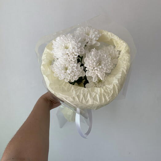 Хризантема в тишью-зефирке