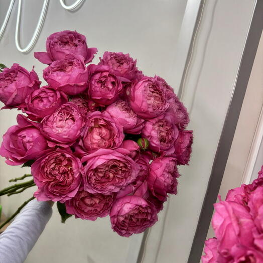 7 кустовых роз Джульетта 💋