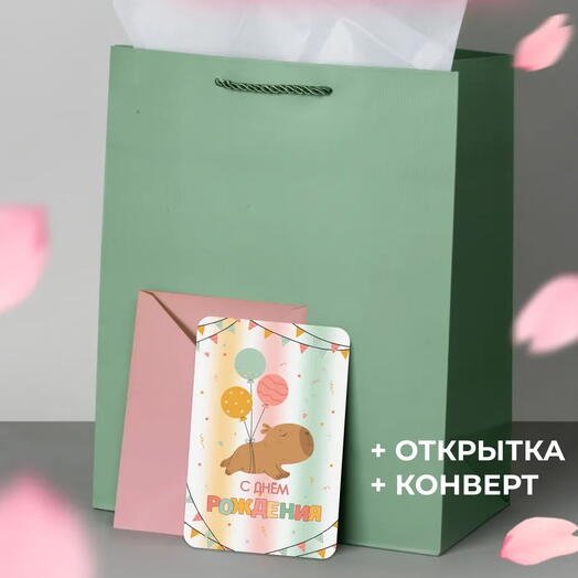 Подарочный детский пакет с капибарой 1 шт