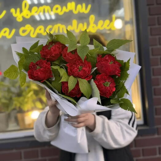 Красная мечта