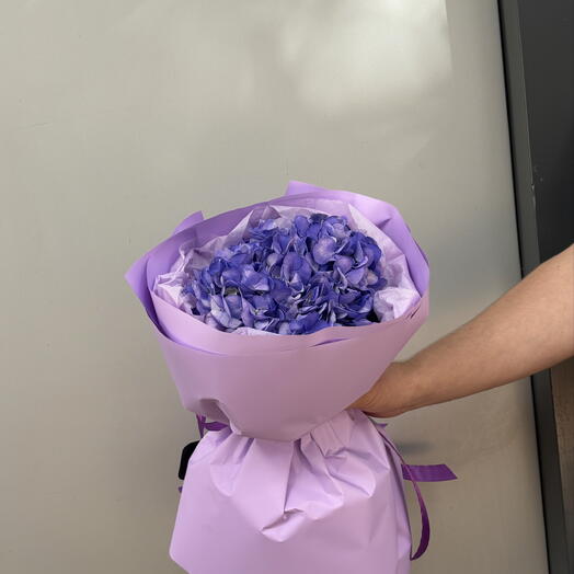 Гортензия фиолетовая 💜
