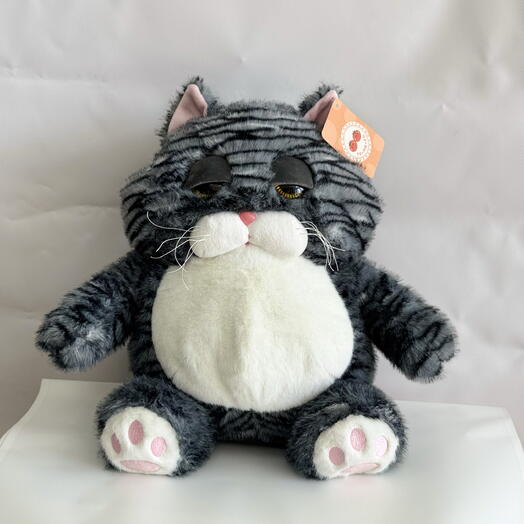Котик серый