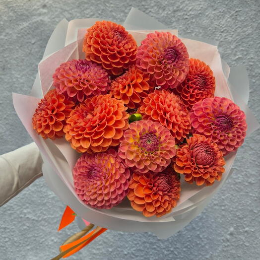 Георгины осенний вайб🧡
