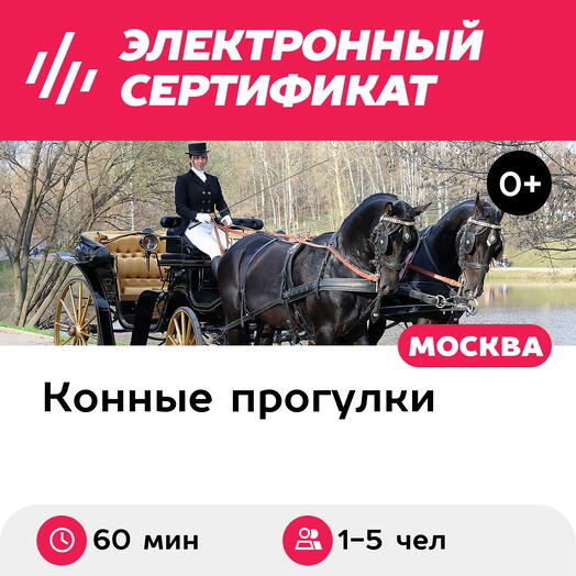 Подарочный сертификат Обзорная экскурсия на европейском двухлошадном фаэтоне в будний день
