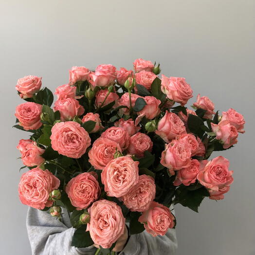 Коралловые розы