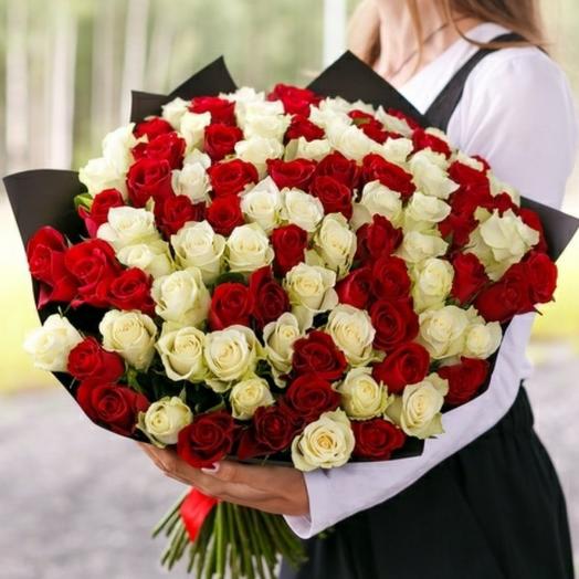 51 отборная роза красного и белого цвета