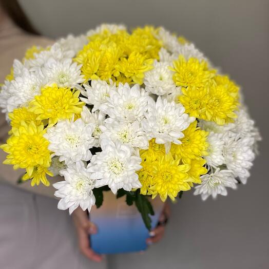 Микс хризантемы в коробке