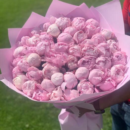 Gorgeous Peonies by Sarah Bernard