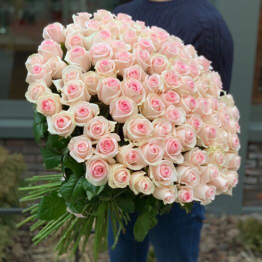 101 roses 75 cm "Sweet revival"