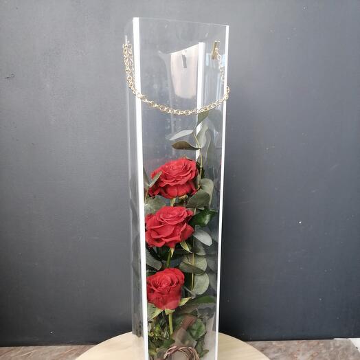 Flores en un matraz