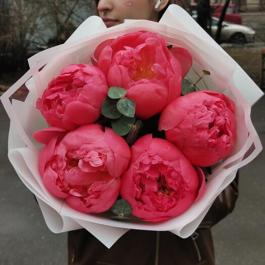 5 коралловых пионов Корал шарм с эвкалиптом. Букет 217 Kimbirly Flowers