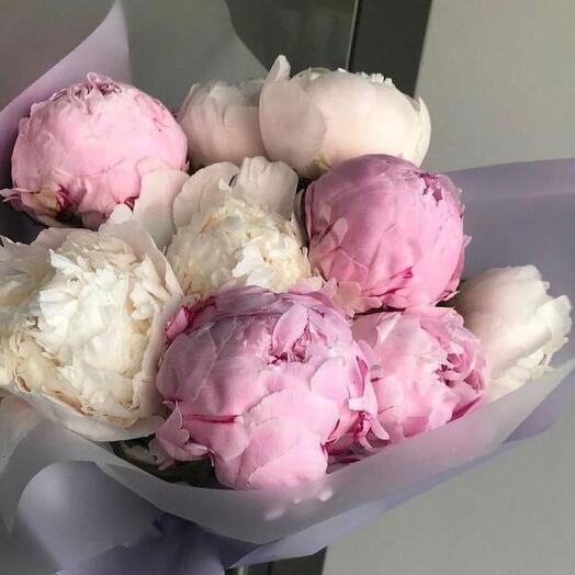 Нежные пионы