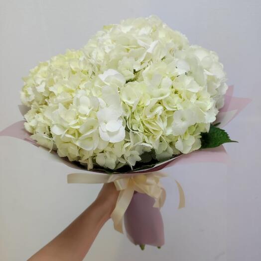 Ramo de 9 hortensias blancas