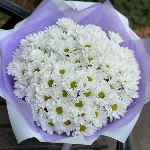 Ромашки 🌸