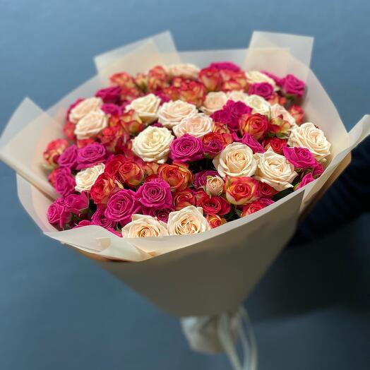 Rosa Arbustiva