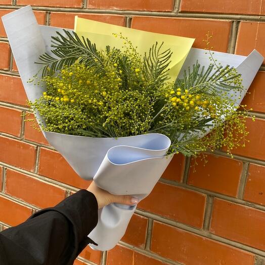 Bouquet of mimosa
