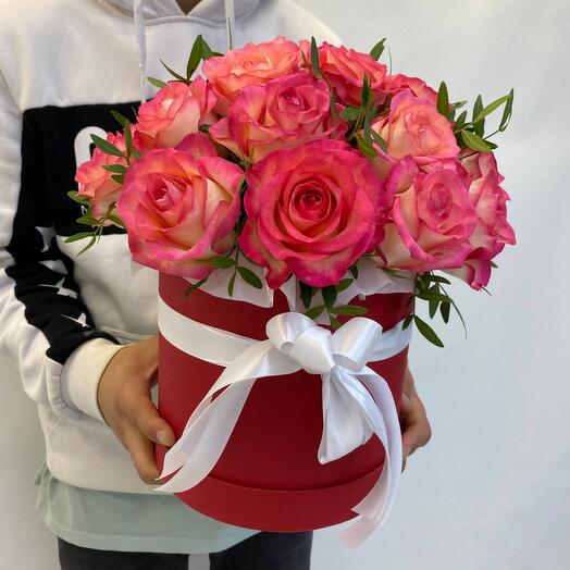 Джумилия в коробке