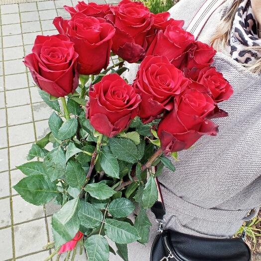 11 red roses Holland