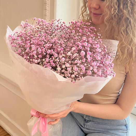 Rosa gypsophila L