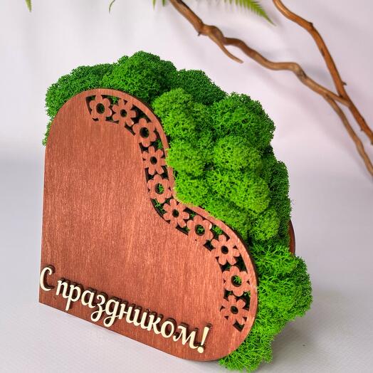 Happy holiday composition! - planters, stabilized moss