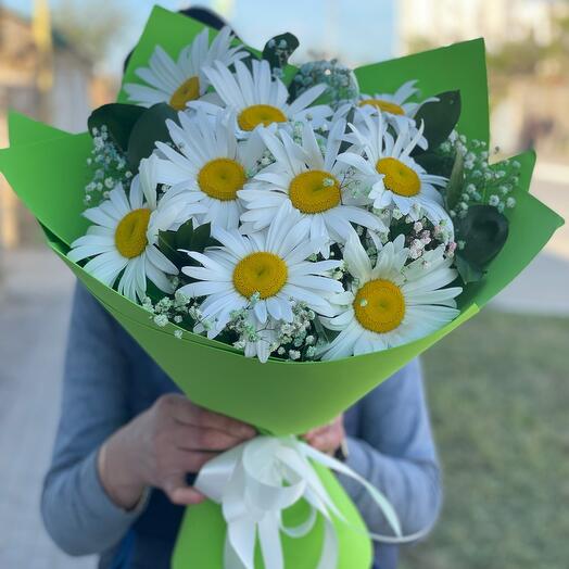 Daisies