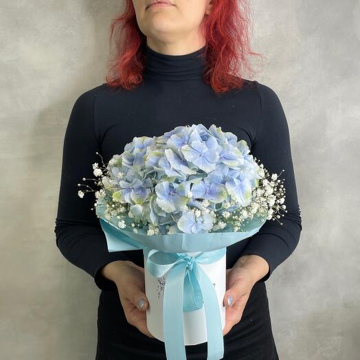 Blue hydrangea in white☁️