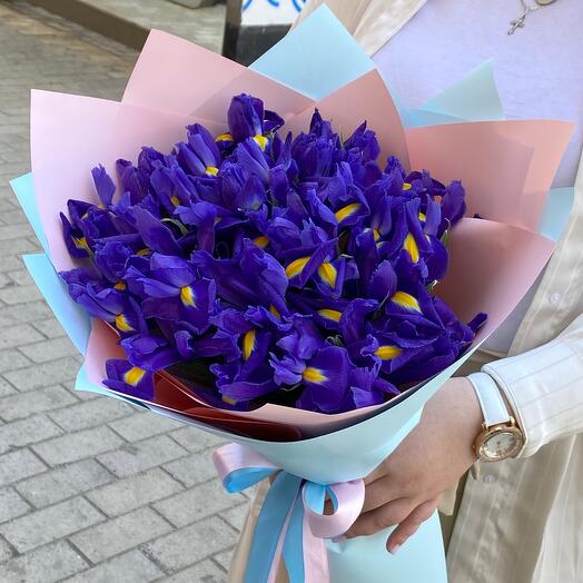 Ramo de iris