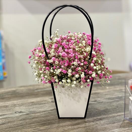 Ramo de Gypsophila en un bolso