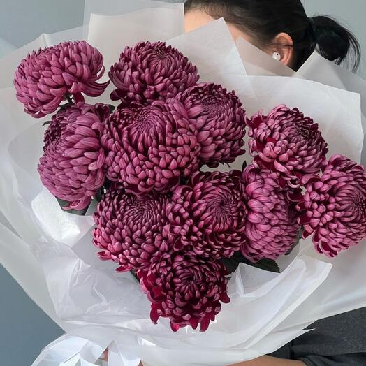 Хризантемы бигуди