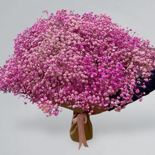 Bouquet of pink gypsophila