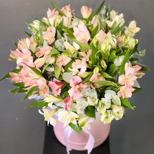 A persistent bouquet of colorful delicate alstroemeria in a box