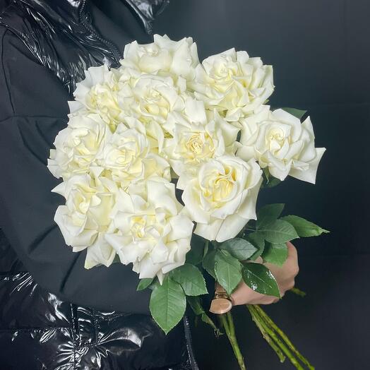 Bouquet of 11 French roses "Frosty freshness"